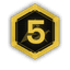 Level 5